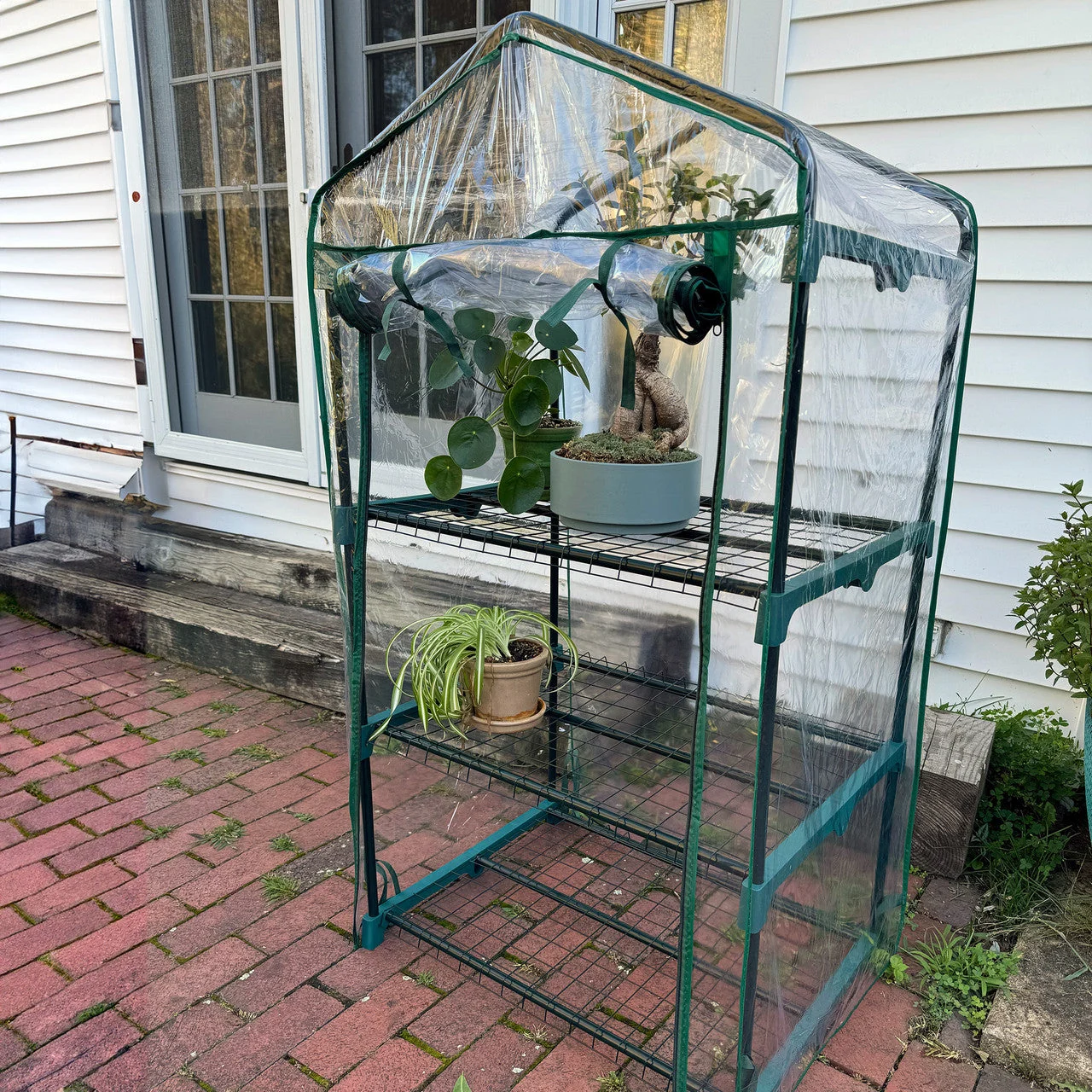3-tier-mini-greenhouse.webp 3-Tier Mini Greenhouse