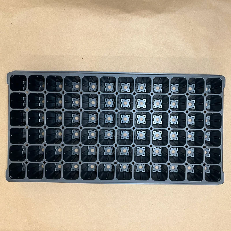 72-cell-plug-flat.webp 72 Cell Plug Flat
