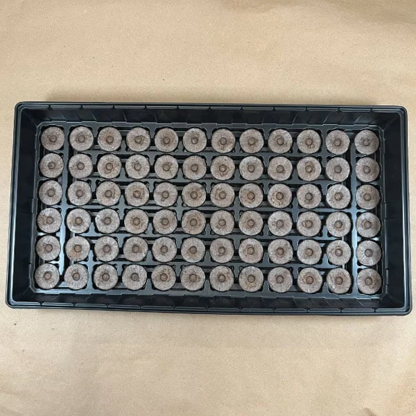 72-slot-greenhouse-kit-seed-starting.webp 72 Slot Greenhouse Kit, Seed Starting