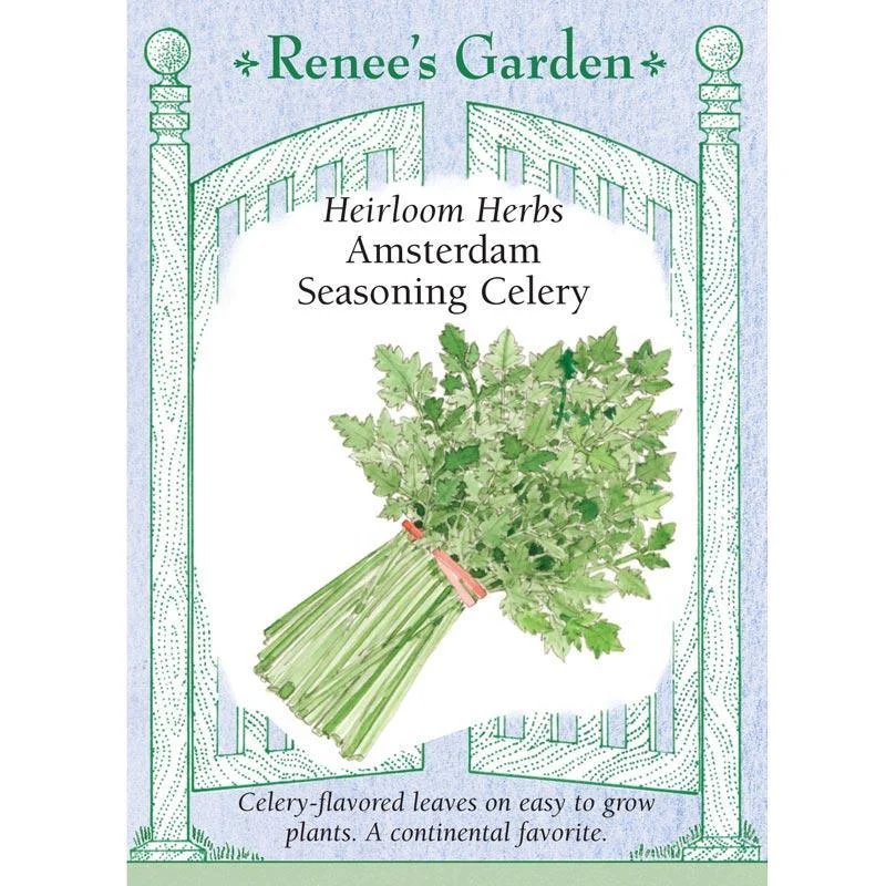 Amsterdam Seasoning Celery Seeds