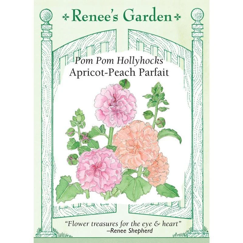 Apricot-Peach Parfait Pom Pom Hollyhock Flower Seeds