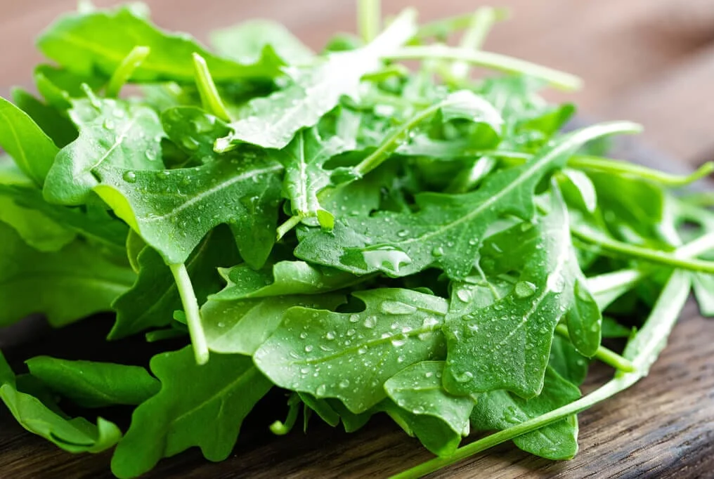 arugula.webp Arugula