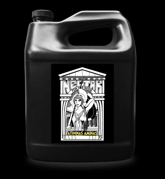 athenas-aminas-quart.webp Athenas Aminas – quart