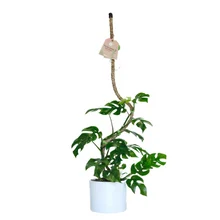 Bendable Coir Pole