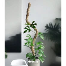 Bendable Moss Pole