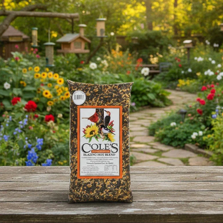 Cole's - Blazing Hot Blend Seed 10lbs