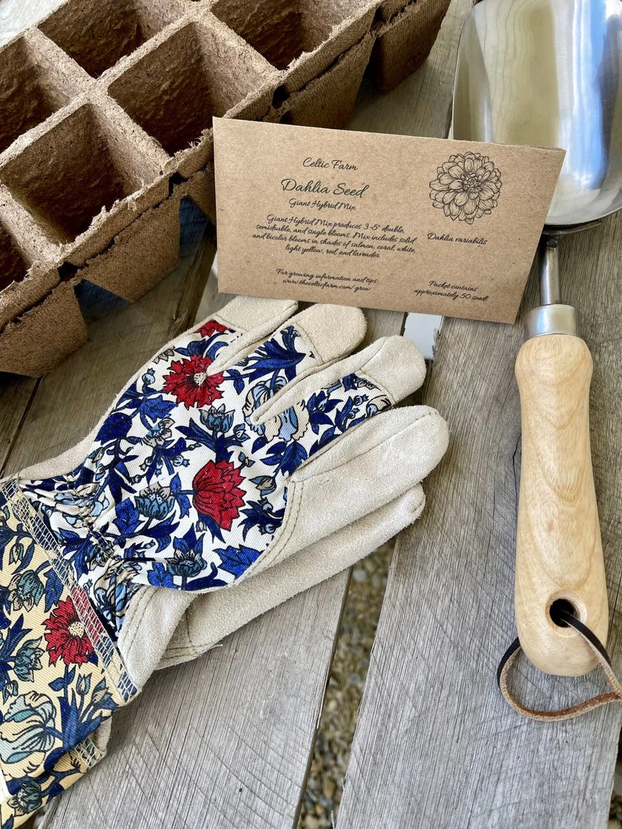 Dabble with Dahlias - Our Grow Kit Gift Box with Dahlia Seed