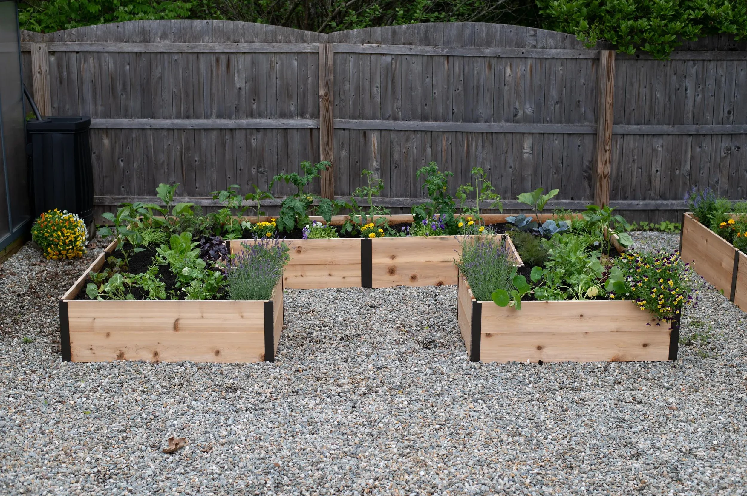 Deep Root Cedar Raised Beds, 12' Wide U-Shaped (14" D)