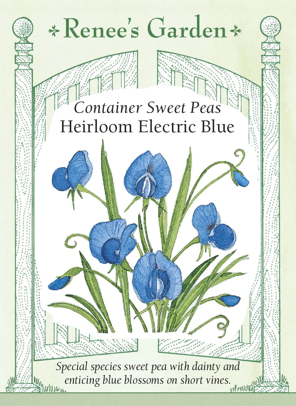 electric-blue.webp Electric Blue