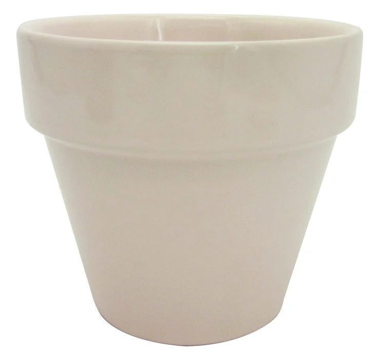 Electric Pot Coral - 5.5 inch