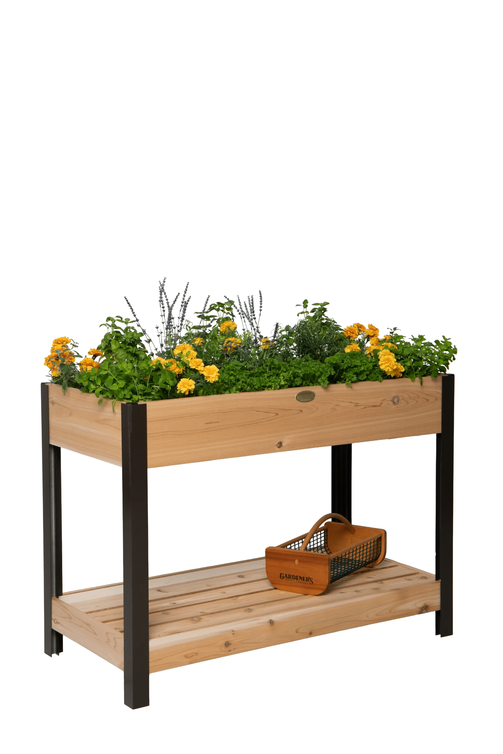 elevated-cedar-patio-garden-with-shelf-2-x-4.png Elevated Cedar Patio Garden with Shelf, 2' x 4'