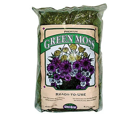 Green Moss - 1 cf