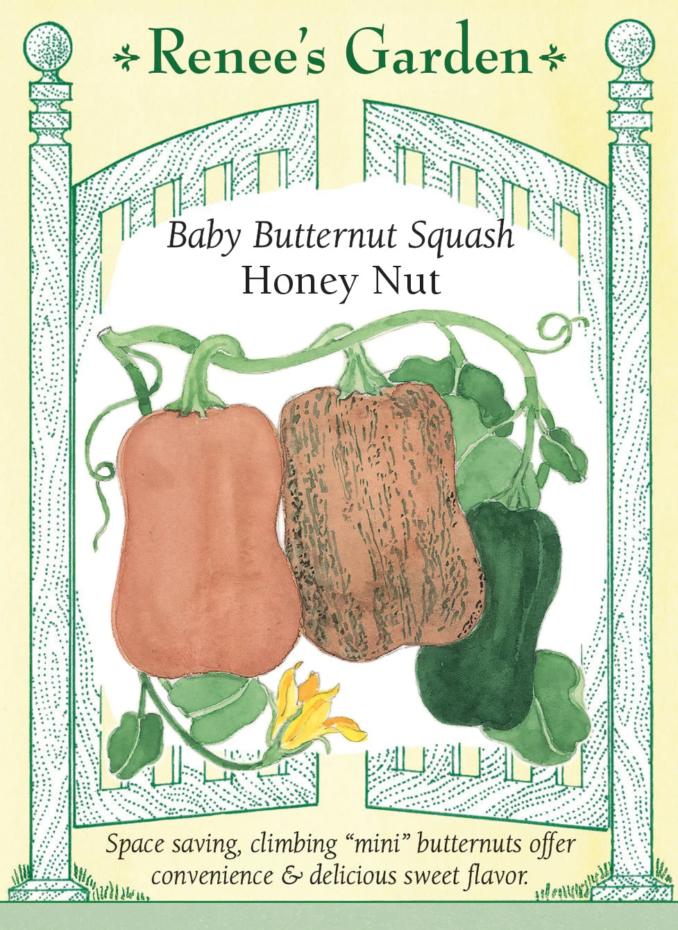 Honey Nut