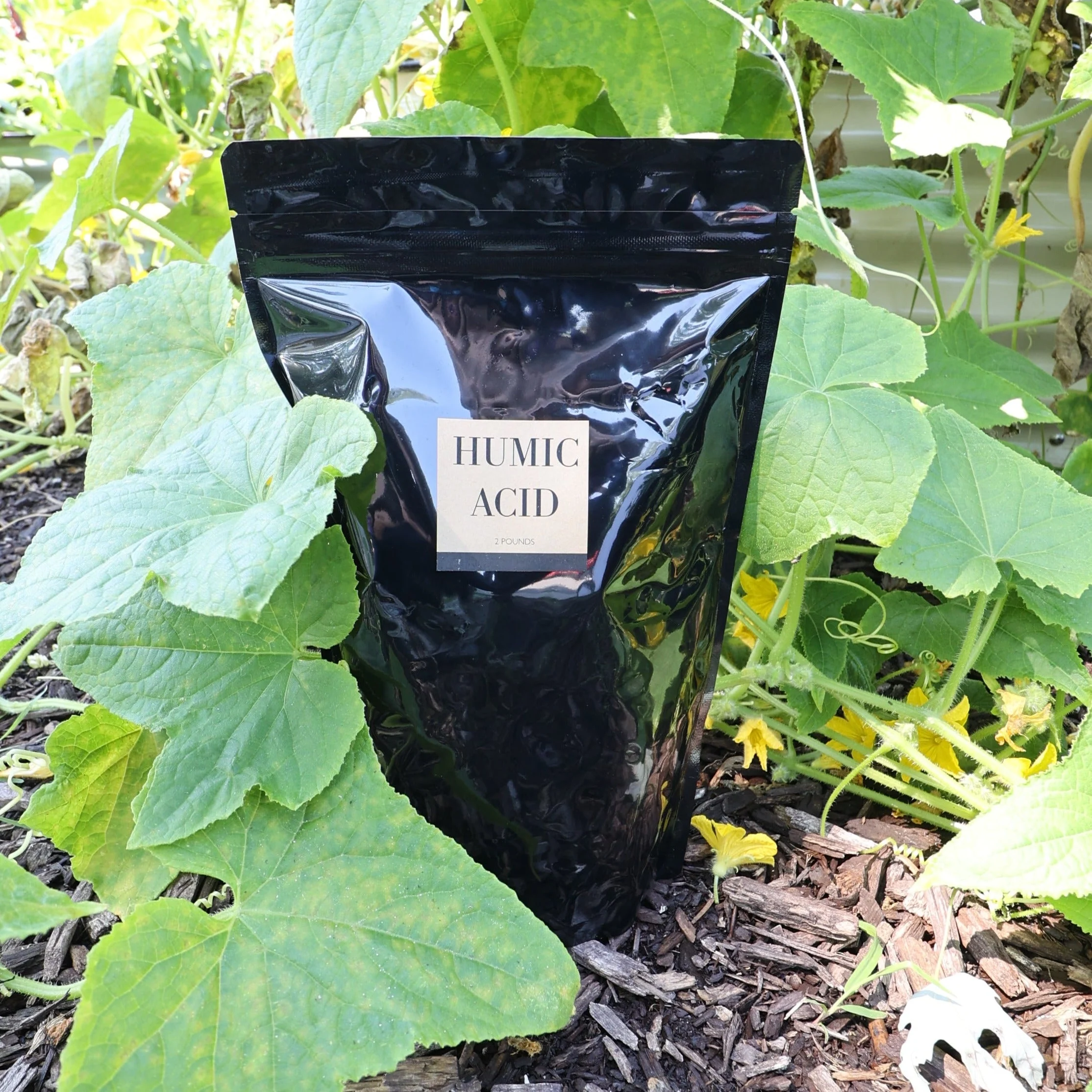 humic-acid.webp Humic Acid