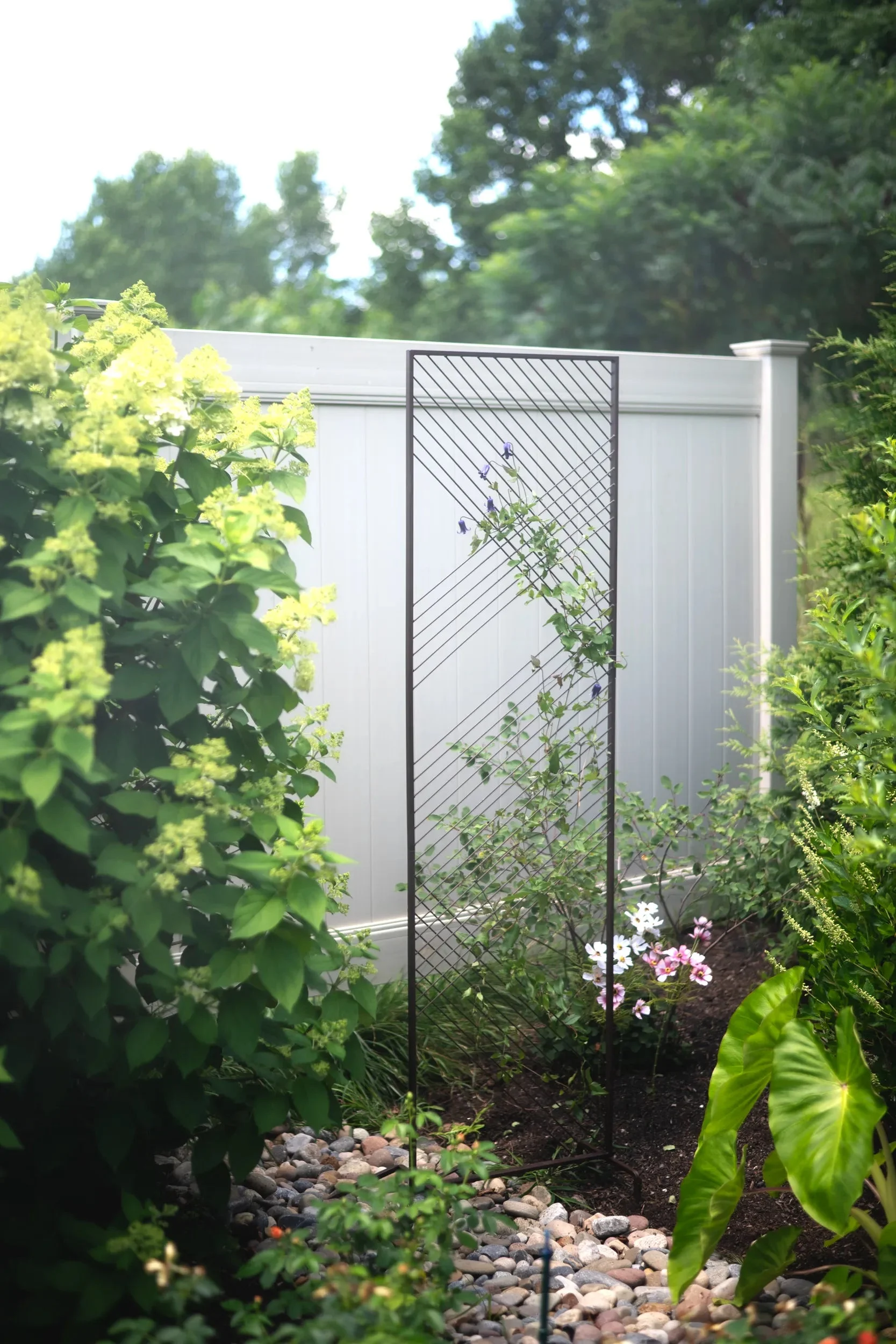 modena-wall-trellis.webp Modena Wall Trellis