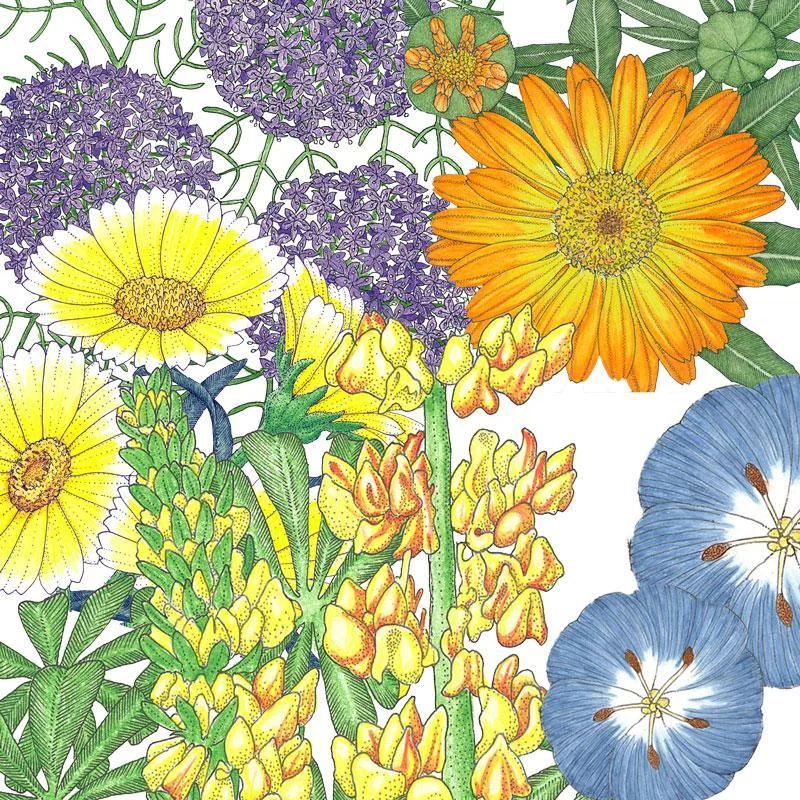 peaceful-valley-flowering-pollinator-mix-1-4-lb.webp Peaceful Valley Flowering Pollinator Mix - 1/4 lb