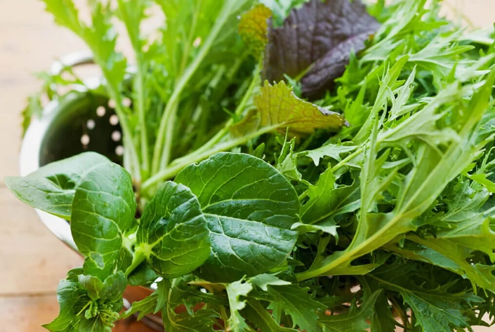 premium-greens-mix.webp Premium Greens Mix