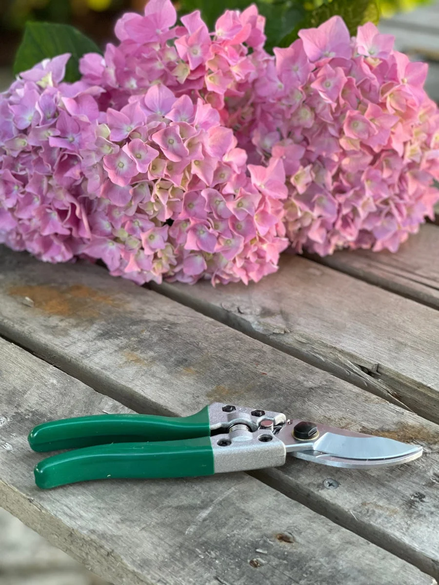 Pruner Shears For the Garden- Our Best Hand Pruners - Carbon Steel