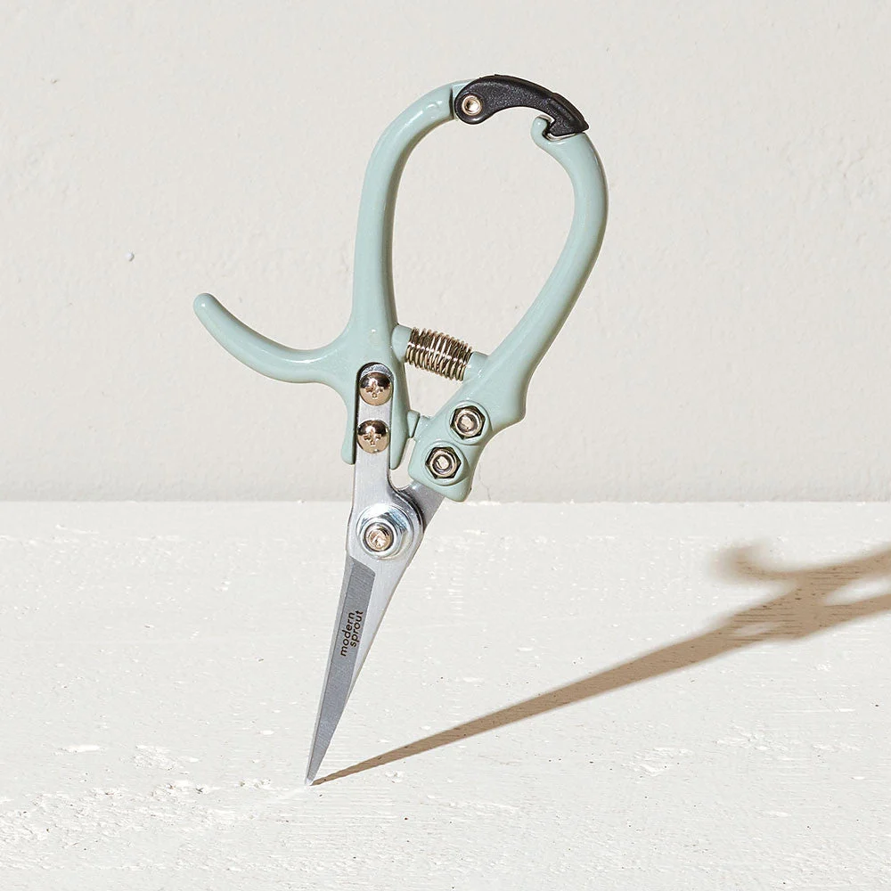 Pruning Shears