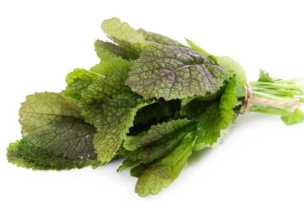 red-mustard-greens.webp Red Mustard Greens