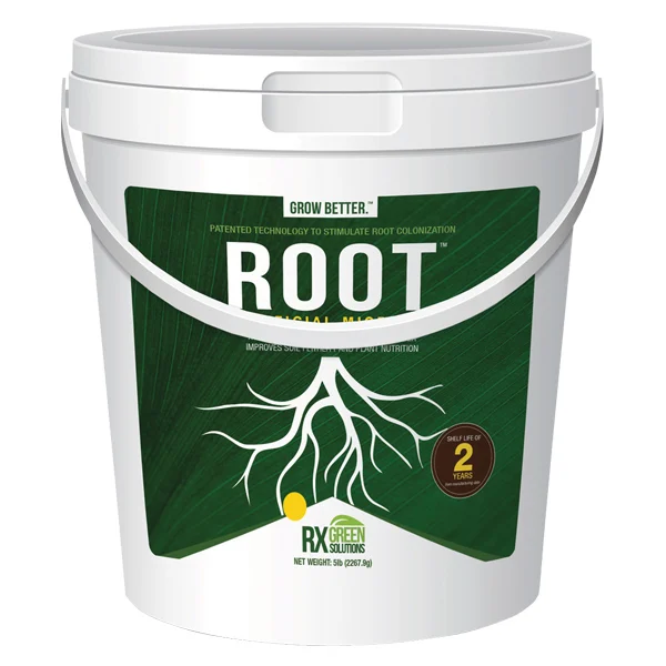 ROOT