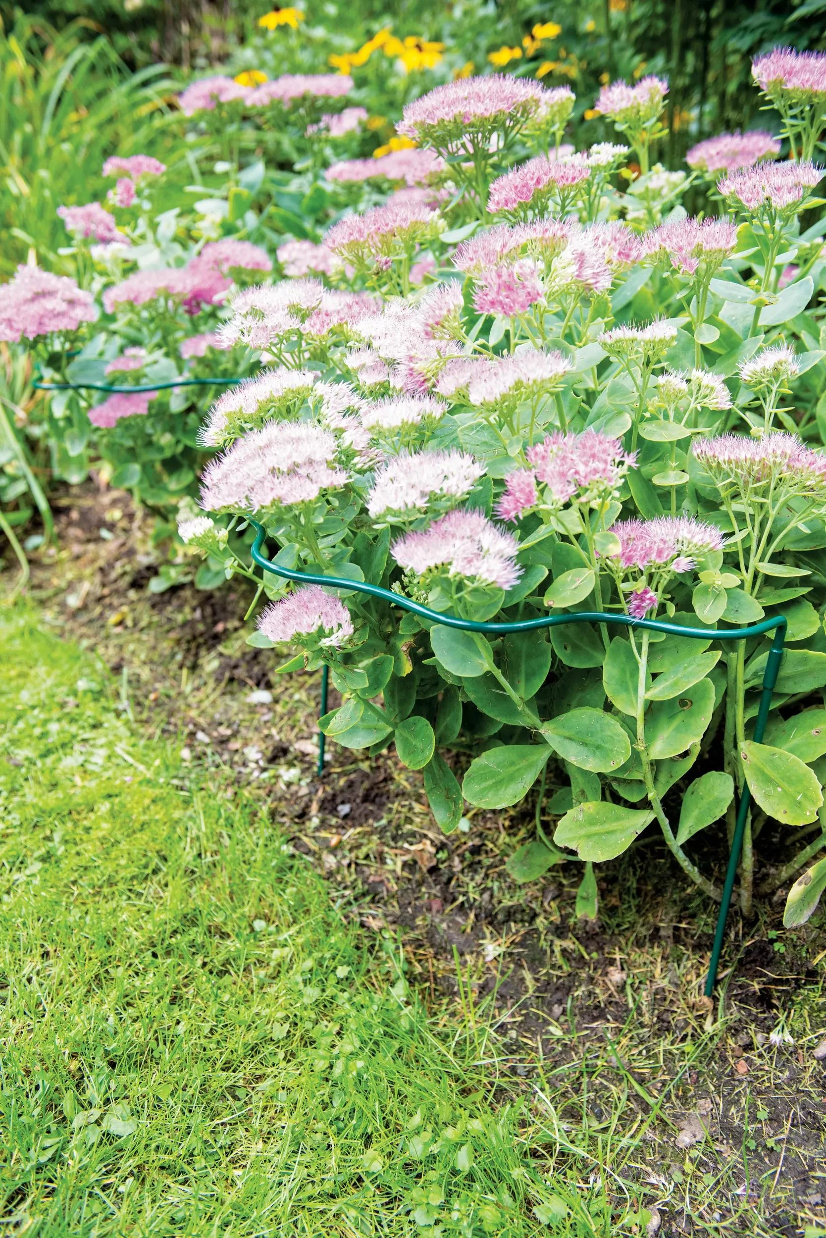 Scalloped Plant Supports, Set of 2