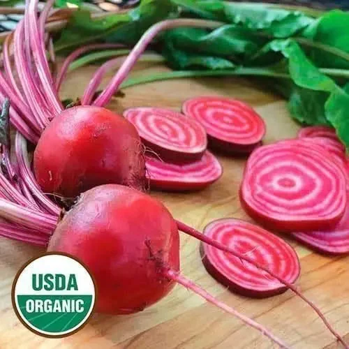 Seed Savers Exchange Beet, Chioggia (Organic)