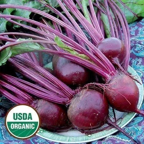 Seed Savers Exchange Beet, Detroit Dark Red (Organic)