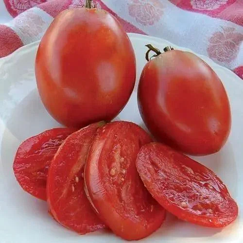 Seed Savers Exchange Tomato, Amish Paste