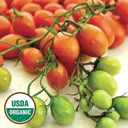 seed-savers-exchange-tomato-cherry-roma-organic.webp Seed Savers Exchange Tomato, Cherry Roma (Organic)