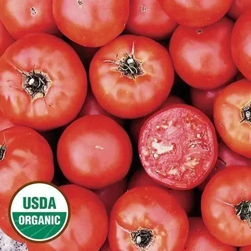 seed-savers-exchange-tomato-wisconsin-55-organic.webp Seed Savers Exchange Tomato, Wisconsin 55 (Organic)