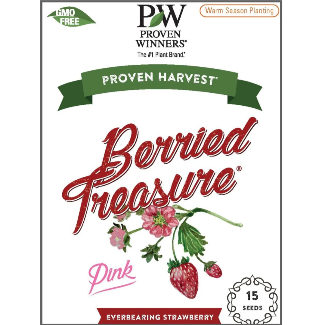 seeds-berried-treasure-pink-strawberry-fragaria.webp Seeds Berried Treasure Pink Strawberry (Fragaria)