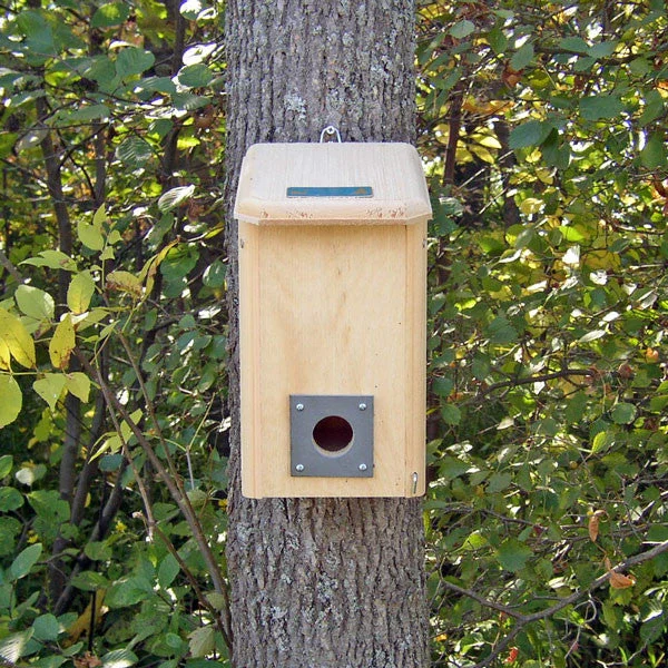 Small Wooden Winter Roost