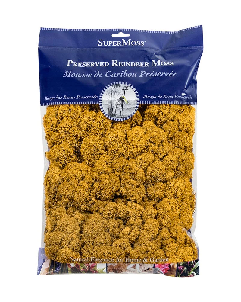 SuperMoss Reindeer Moss Preserved Mango - 4oz