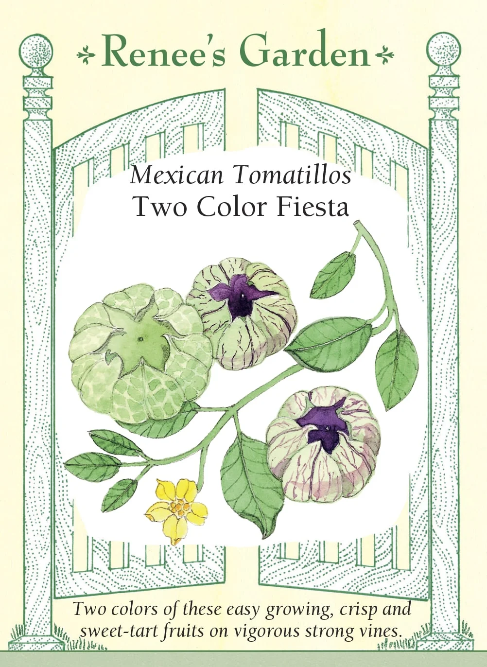 Two Color Fiesta