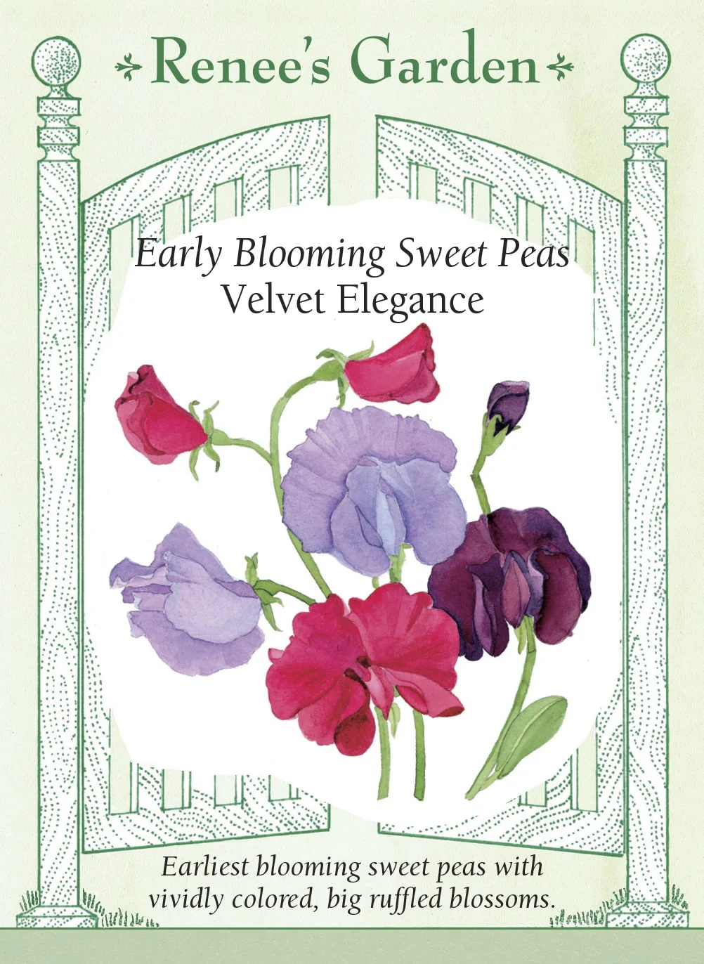 velvet-elegance.webp Velvet Elegance